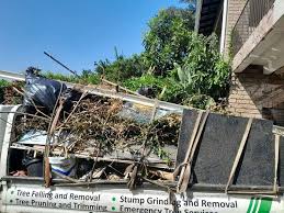 Best Property Management Cleanouts  in Verde Village, AZ